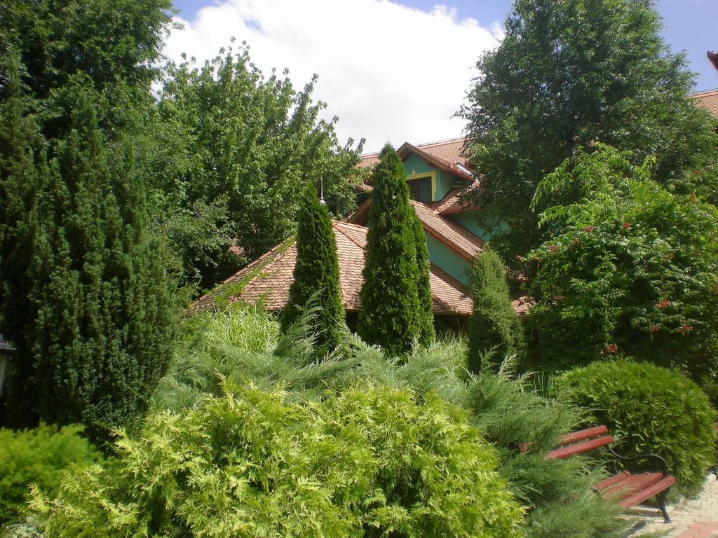 Vinski Dvor Palic Luaran gambar